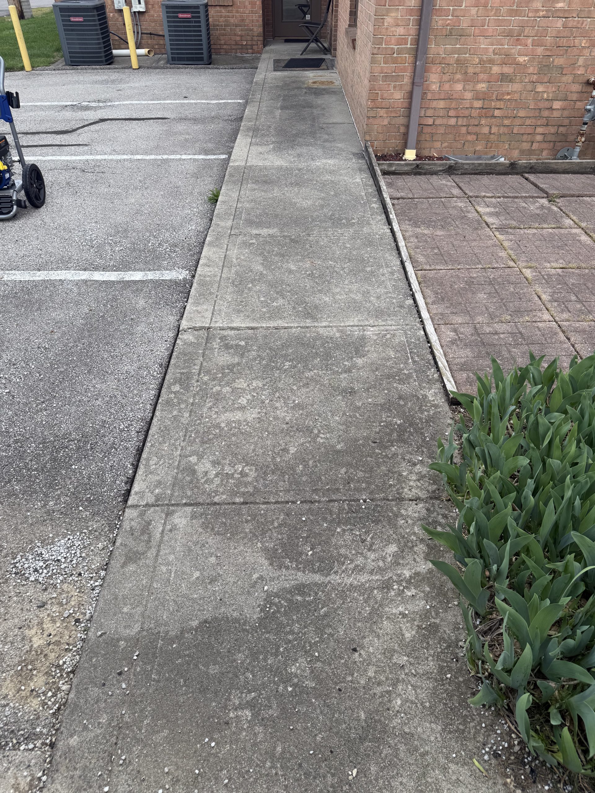 Before image